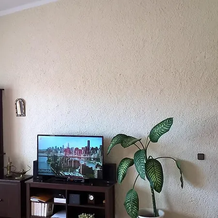 Bem * Olhão